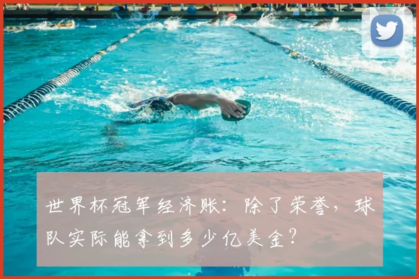 世界杯冠军经济账:除了荣誉,球队实际能拿到多少亿美金?