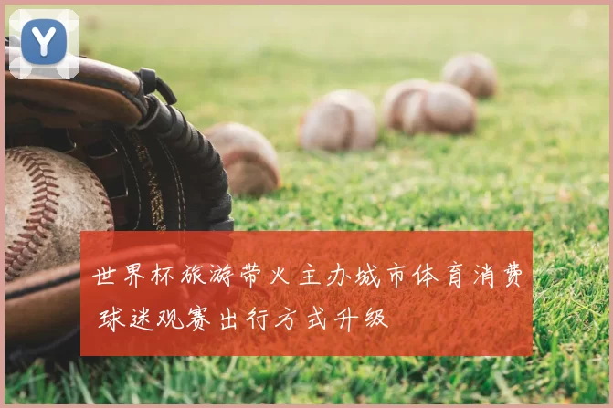 世界杯旅游带火主办城市体育消费 球迷观赛出行方式升级