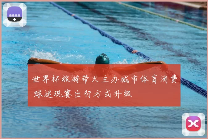 世界杯旅游带火主办城市体育消费 球迷观赛出行方式升级