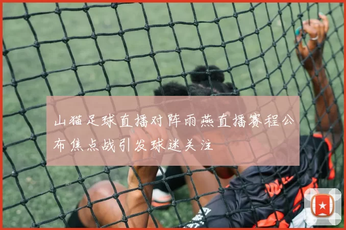 山猫足球直播对阵雨燕直播赛程公布焦点战引发球迷关注