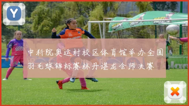 中科院奥运村校区体育馆举办全国羽毛球锦标赛林丹谌龙会师决赛