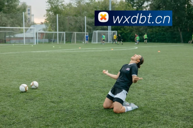 尊龙凯时人生就是搏·(中国区)官方网站发展历程